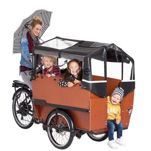 Babboe Max-E  technische daten 